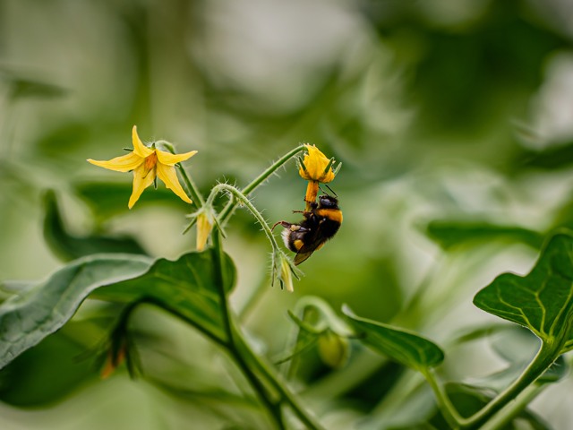 Ersättning avgifter produktionsanläggning 640x480