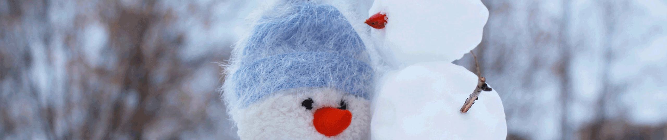 Snögubbe